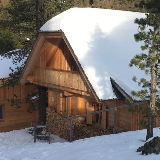 Turrach Chalet Haus Dachs Villa Ebene Reichenau Buitenkant foto